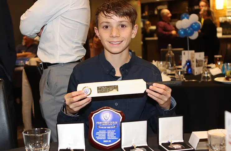 Teenage Australian cricketer dies after being hit by ball