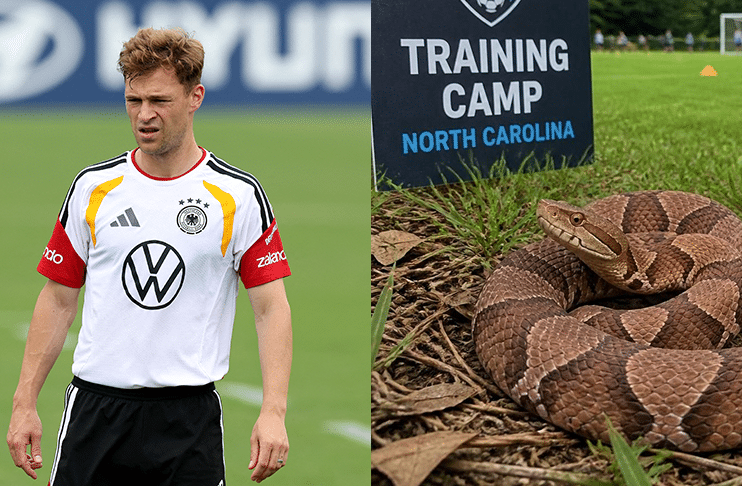 FIFA World Cup 2026: Venomous snakes spark concerns among teams